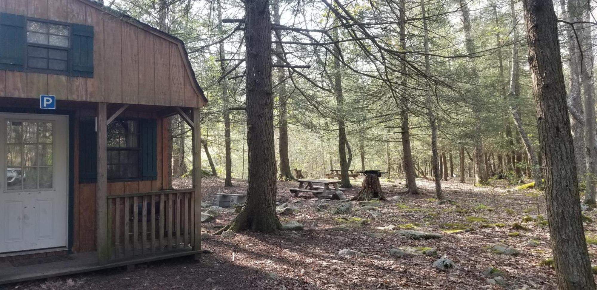 Abrams Creek Campground Mount Storm Exterior photo