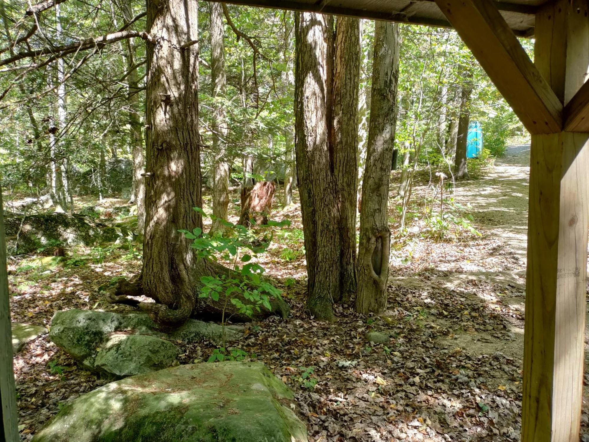 Abrams Creek Campground Mount Storm Exterior photo